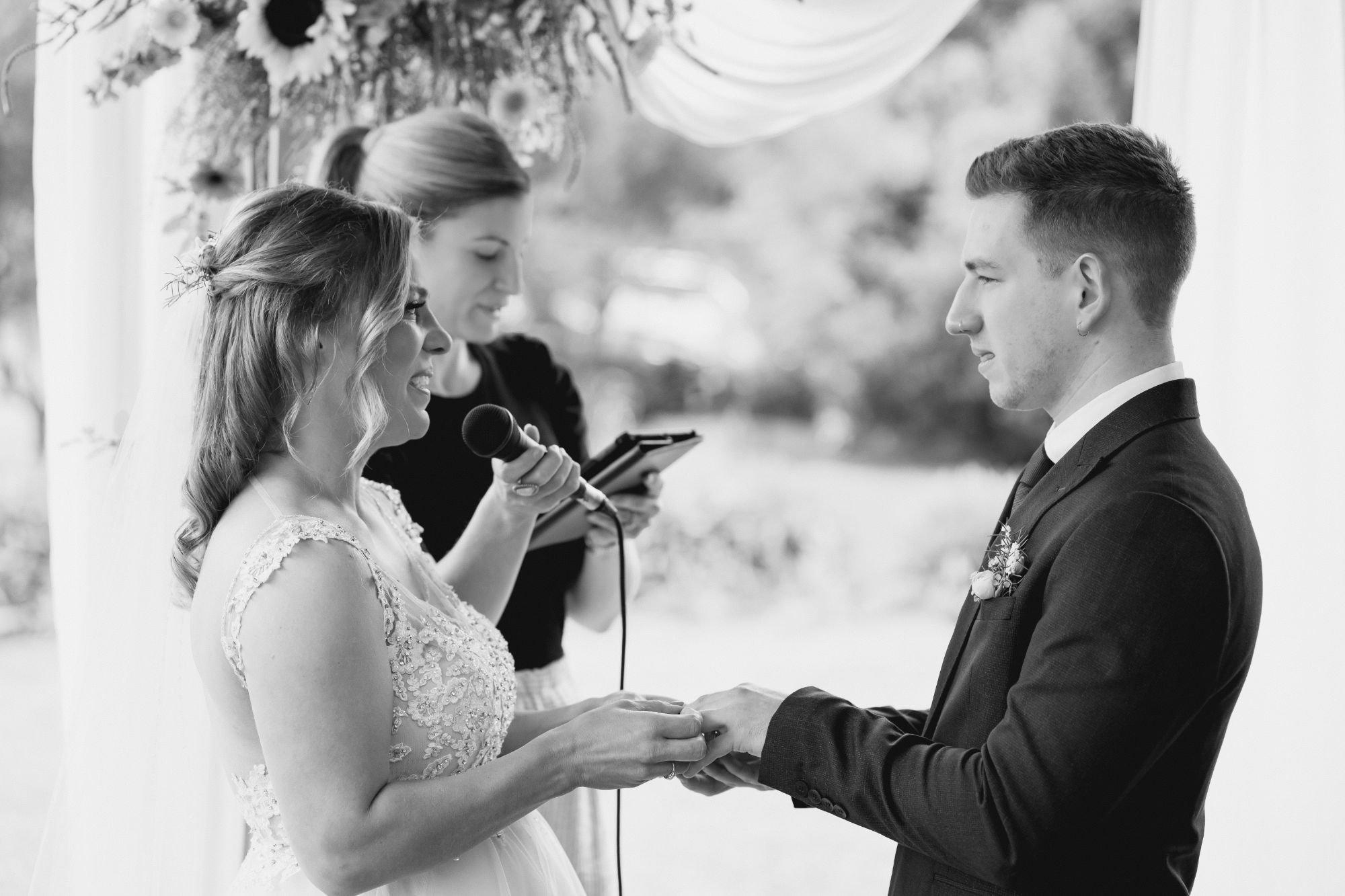 carousel-hero-element image-0