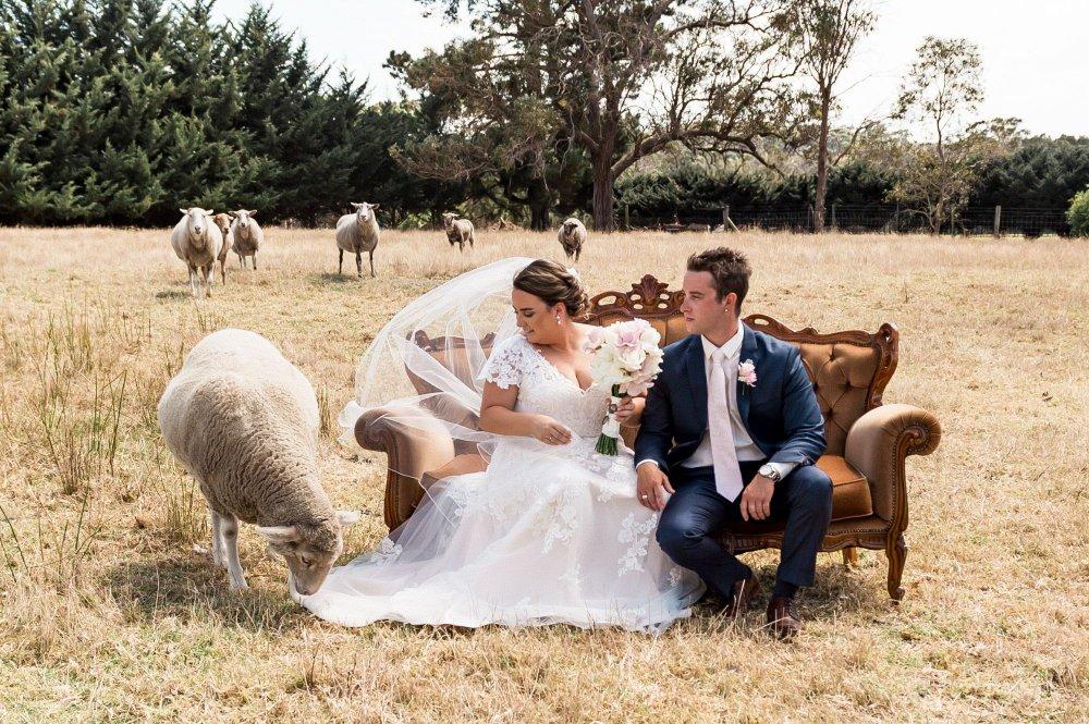 recomment-pack-image-0